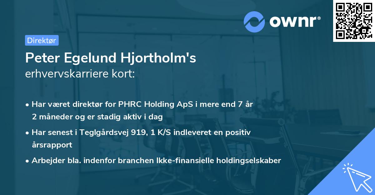 Peter Egelund Hjortholm's erhvervskarriere kort