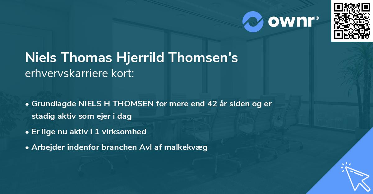 Niels Thomas Hjerrild Thomsen's erhvervskarriere kort