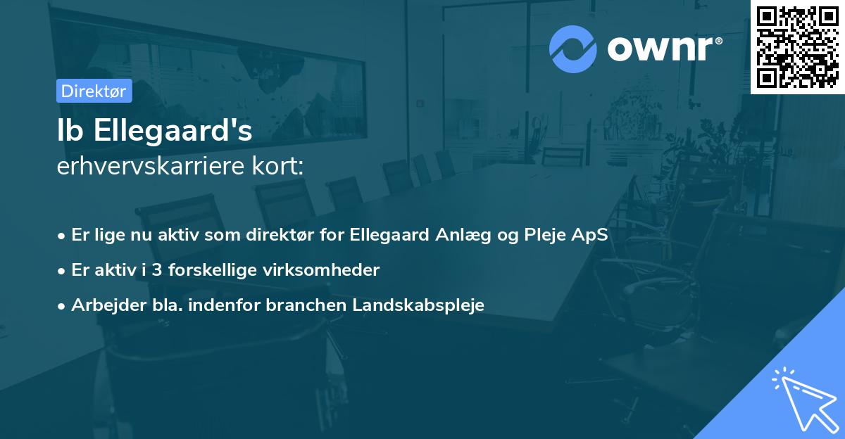 Ib Ellegaard's erhvervskarriere kort