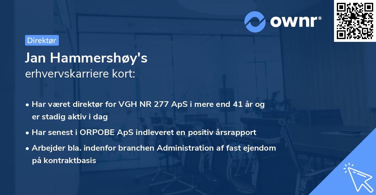 Jan Hammershøy's erhvervskarriere kort