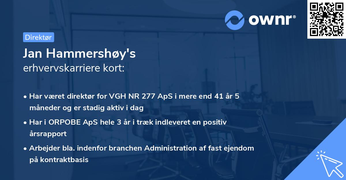 Jan Hammershøy's erhvervskarriere kort