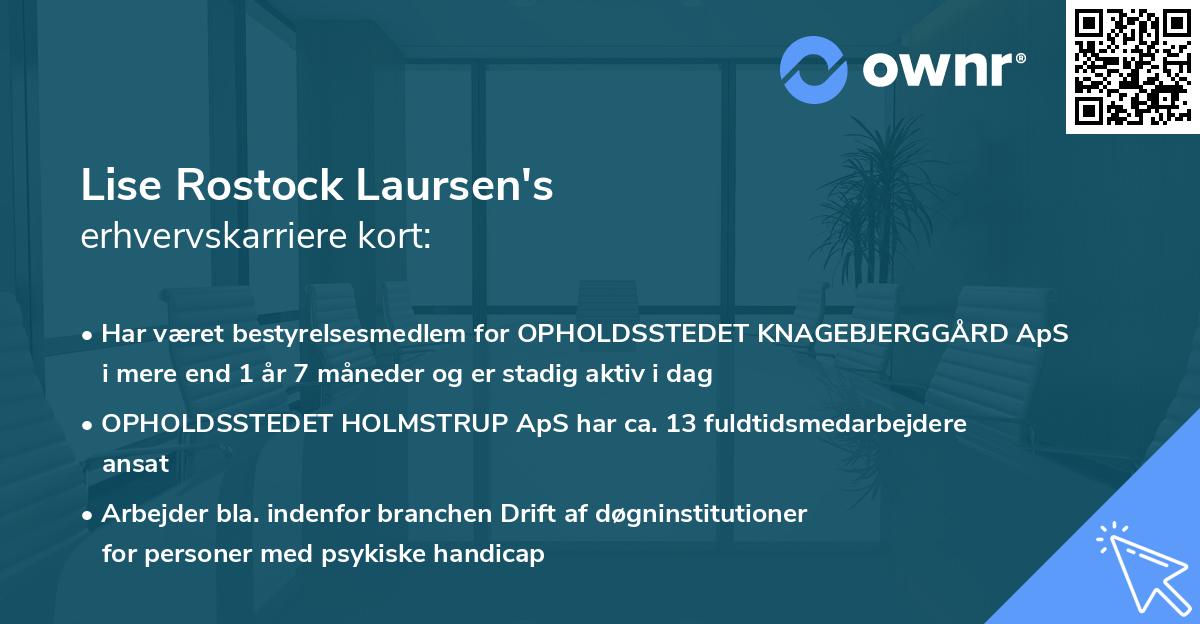 Lise Rostock Laursen's erhvervskarriere kort