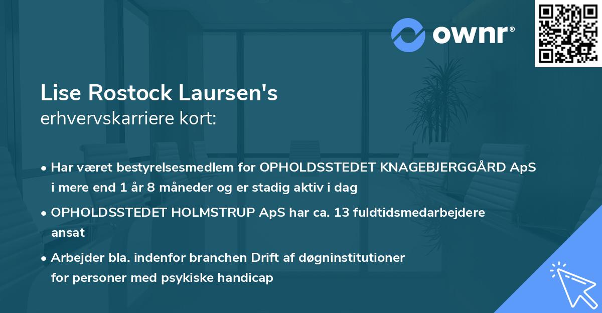 Lise Rostock Laursen's erhvervskarriere kort