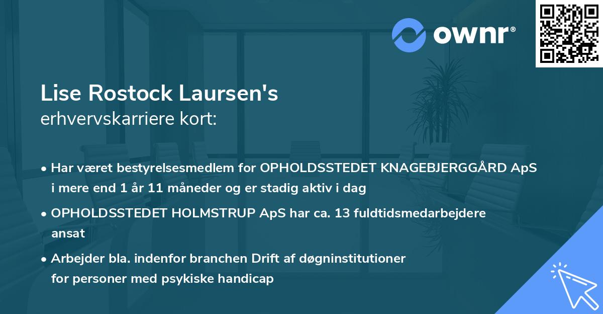 Lise Rostock Laursen's erhvervskarriere kort