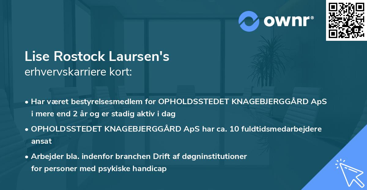 Lise Rostock Laursen's erhvervskarriere kort