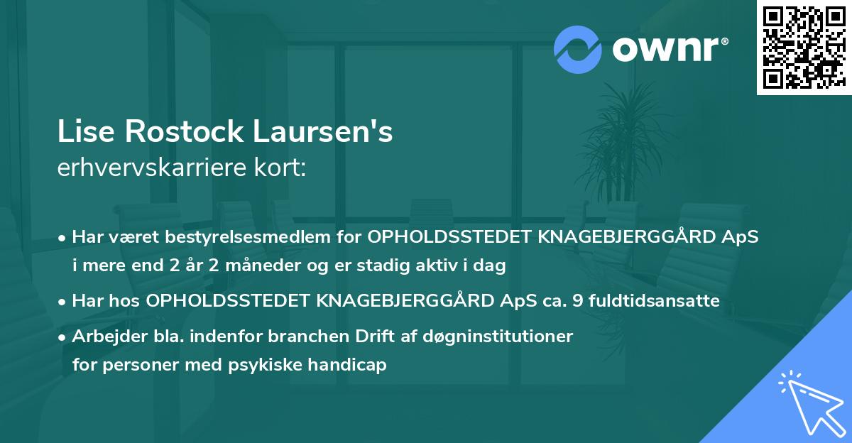 Lise Rostock Laursen's erhvervskarriere kort