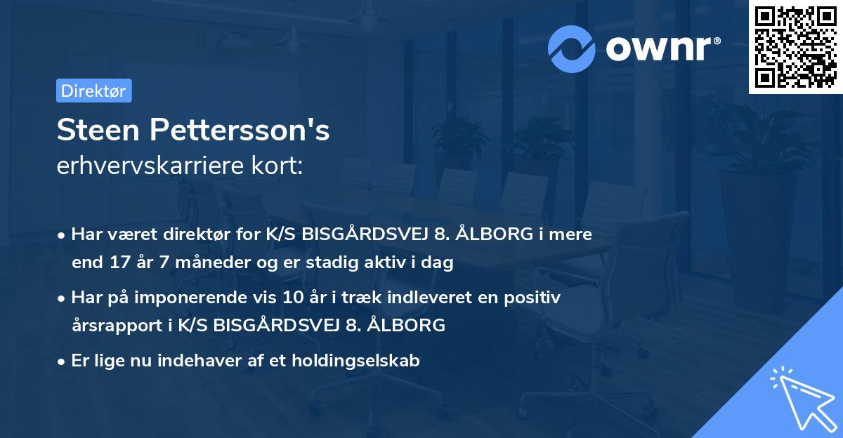 Steen Pettersson's erhvervskarriere kort