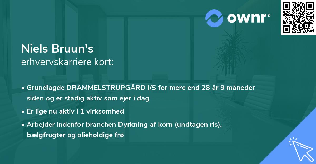 Niels Bruun's erhvervskarriere kort
