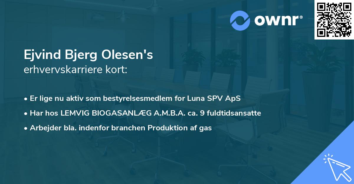 Ejvind Bjerg Olesen's erhvervskarriere kort