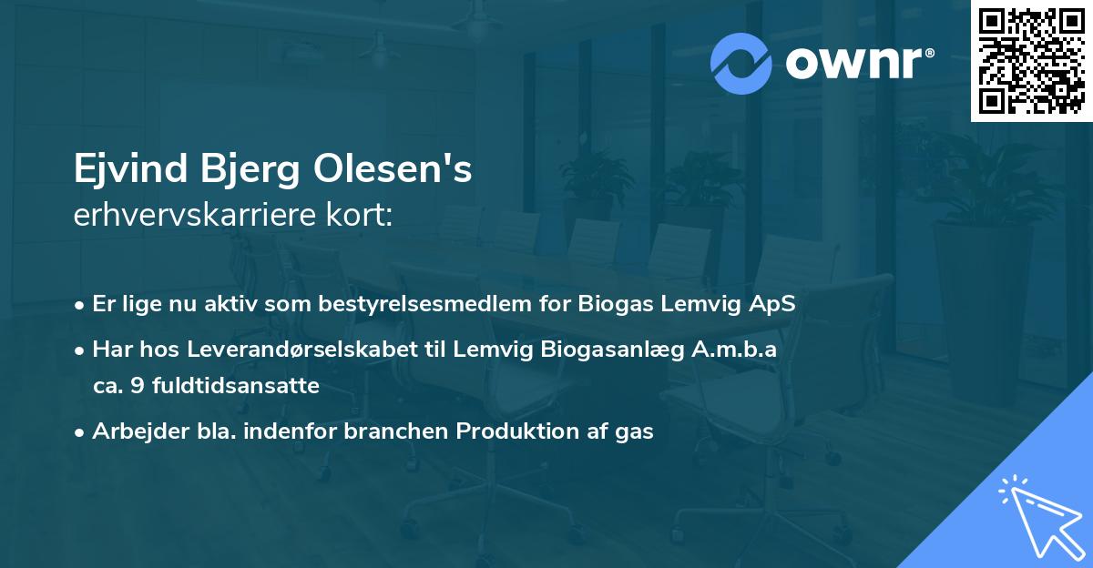 Ejvind Bjerg Olesen's erhvervskarriere kort