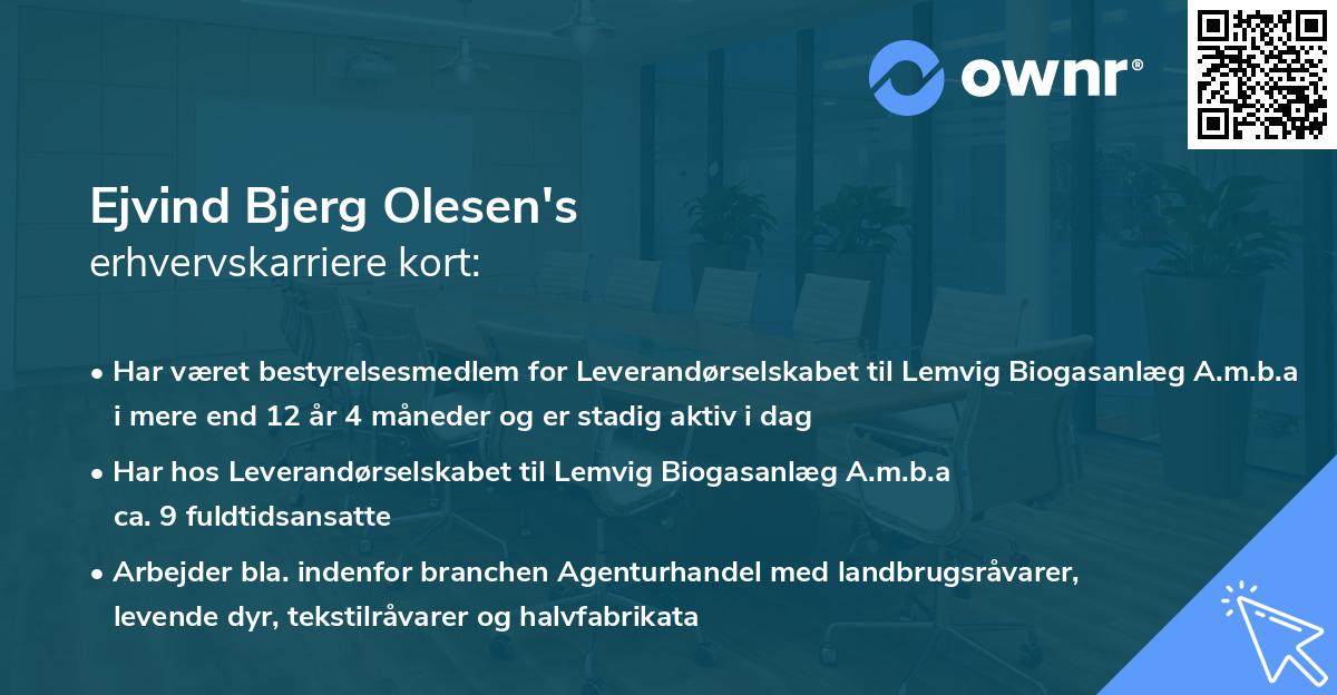Ejvind Bjerg Olesen's erhvervskarriere kort
