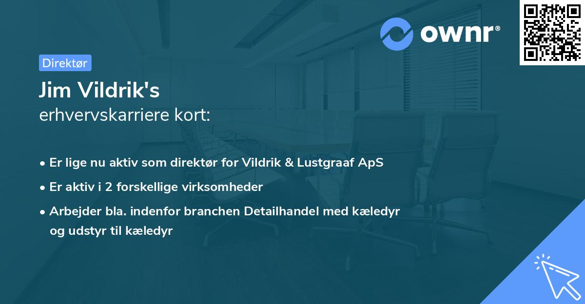 Jim Vildrik's erhvervskarriere kort