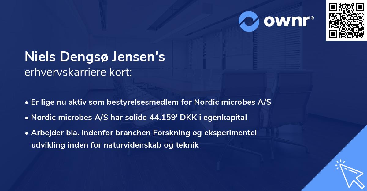 Niels Dengsø Jensen's erhvervskarriere kort