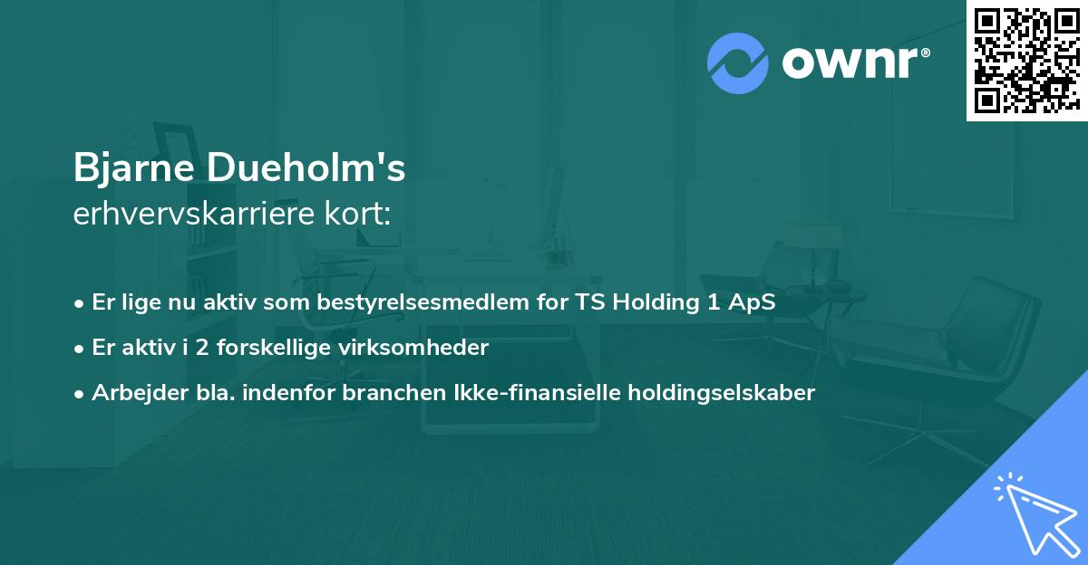 Bjarne Dueholm's erhvervskarriere kort