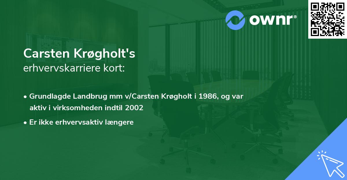 Carsten Krøgholt's erhvervskarriere kort