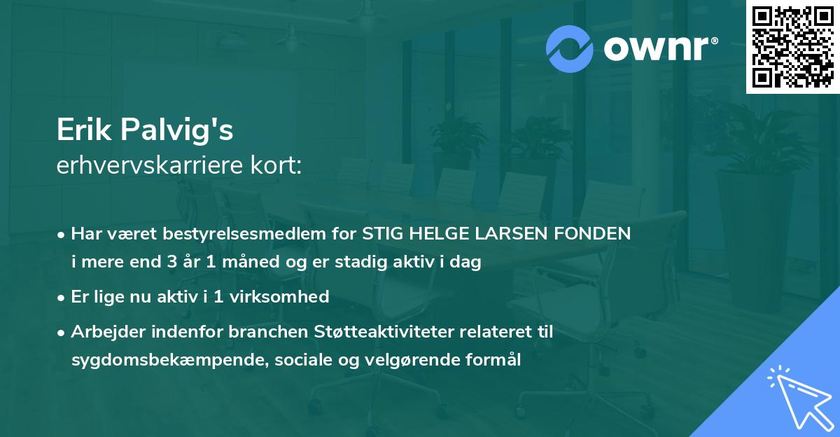 Erik Palvig's erhvervskarriere kort