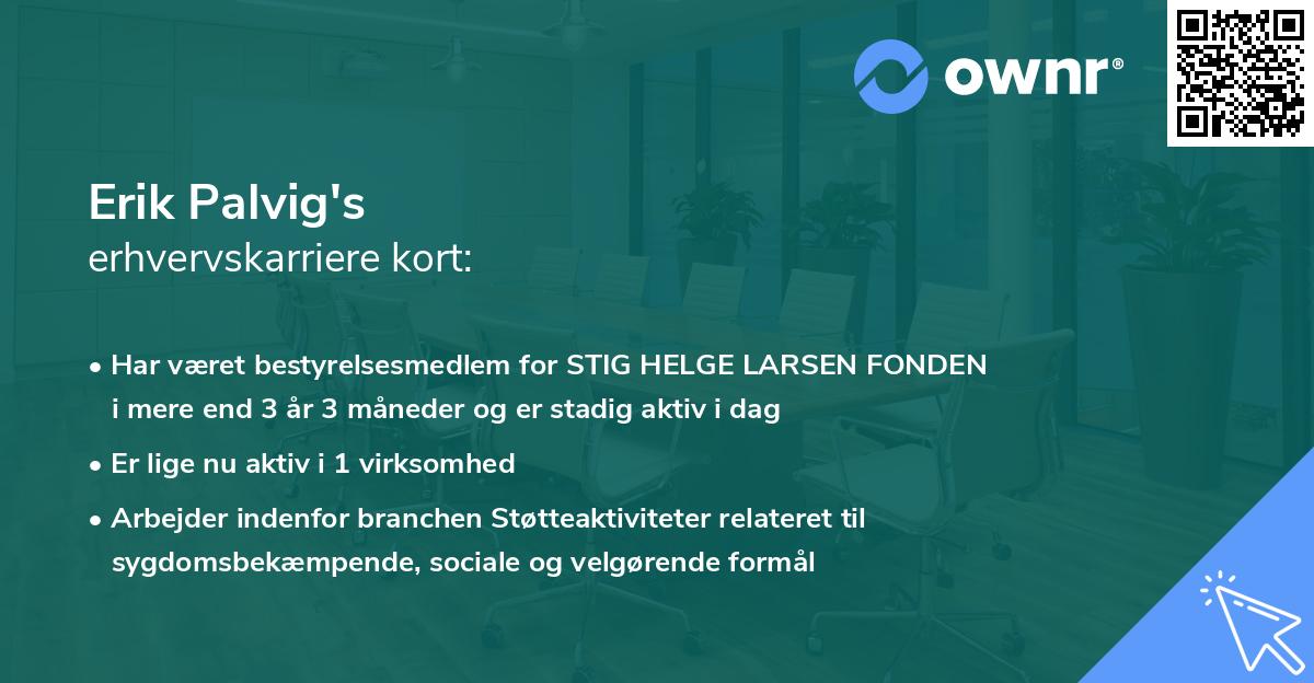 Erik Palvig's erhvervskarriere kort