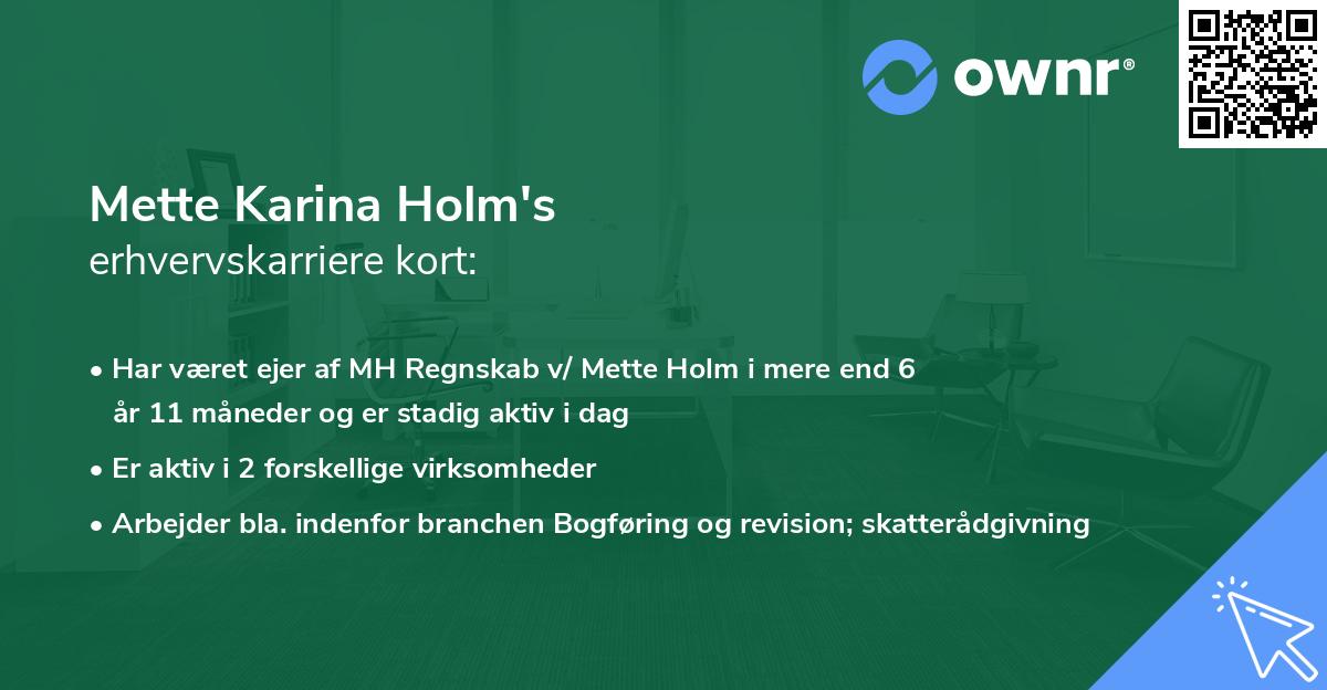 Mette Karina Holm's erhvervskarriere kort