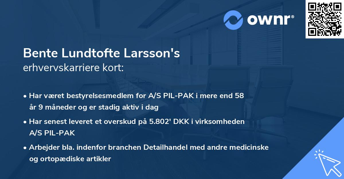 Bente Lundtofte Larsson's erhvervskarriere kort