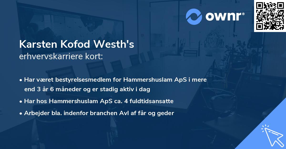 Karsten Kofod Westh's erhvervskarriere kort