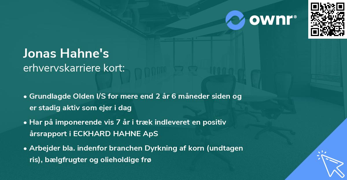 Jonas Hahne's erhvervskarriere kort