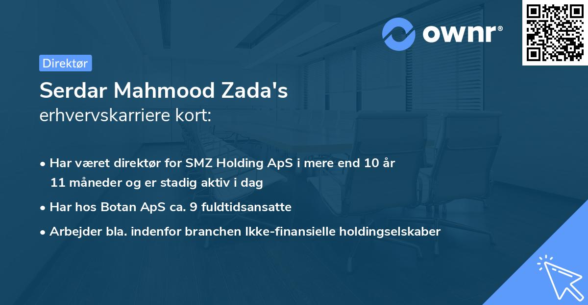 Serdar Mahmood Zada's erhvervskarriere kort