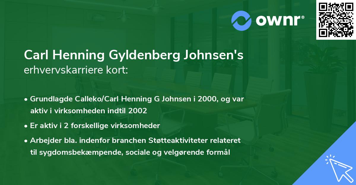 Carl Henning Gyldenberg Johnsen's erhvervskarriere kort