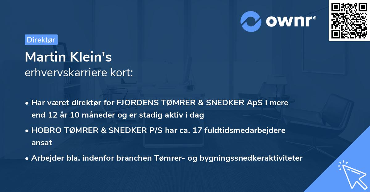 Martin Klein's erhvervskarriere kort