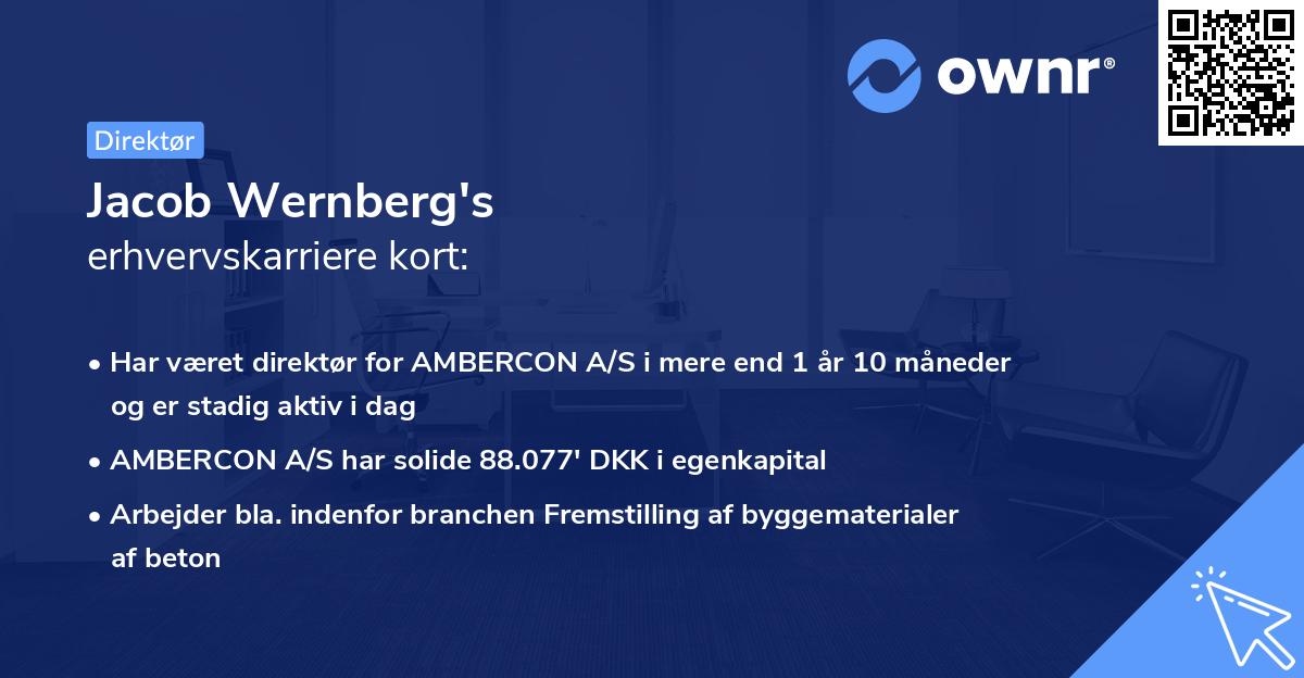 Jacob Wernberg's erhvervskarriere kort