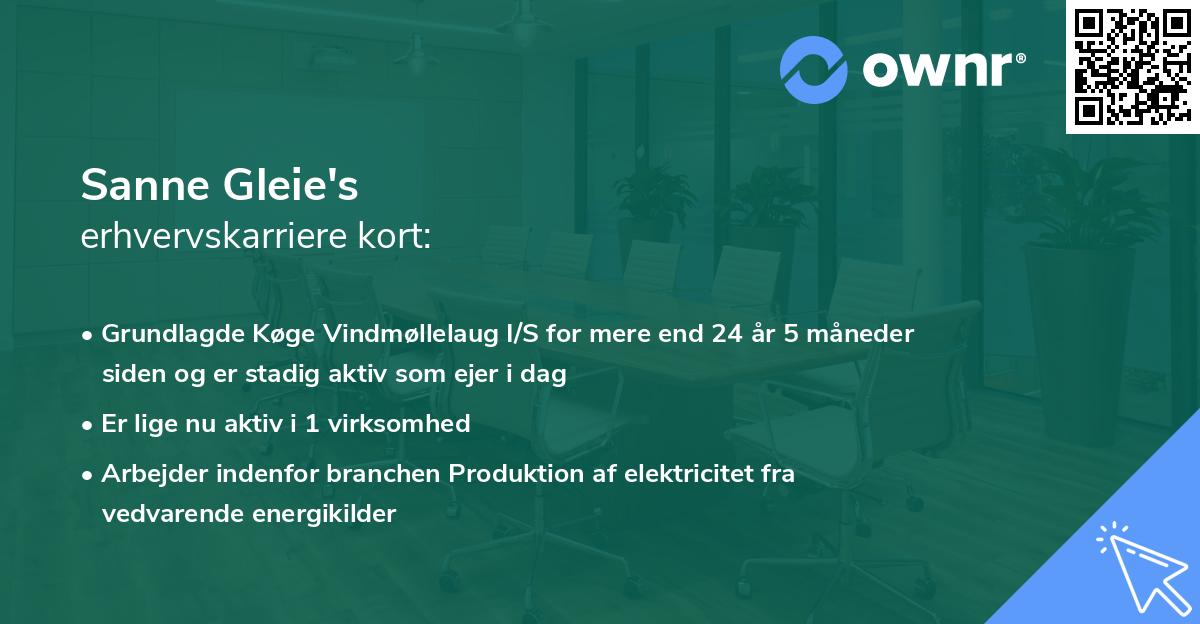 Sanne Gleie's erhvervskarriere kort