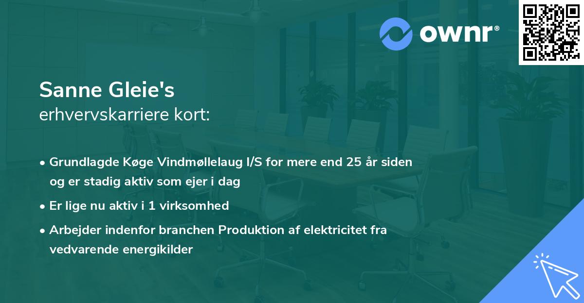 Sanne Gleie's erhvervskarriere kort