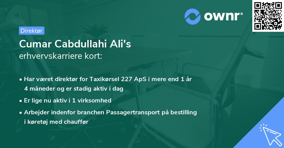 Cumar Cabdullahi Ali's erhvervskarriere kort