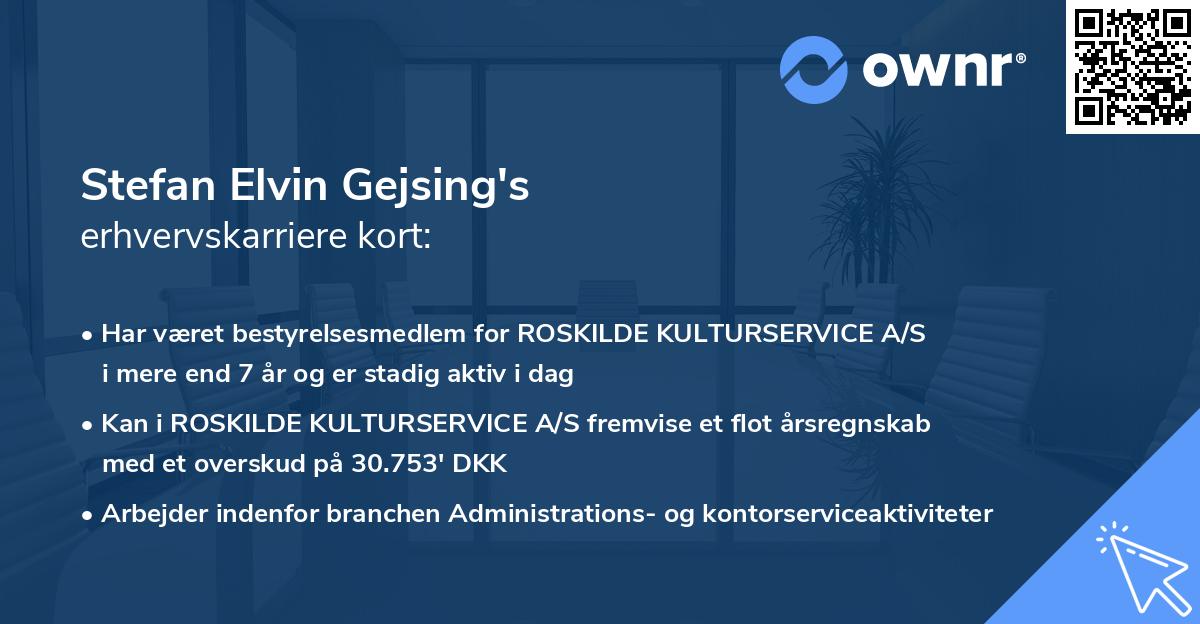 Stefan Elvin Gejsing's erhvervskarriere kort