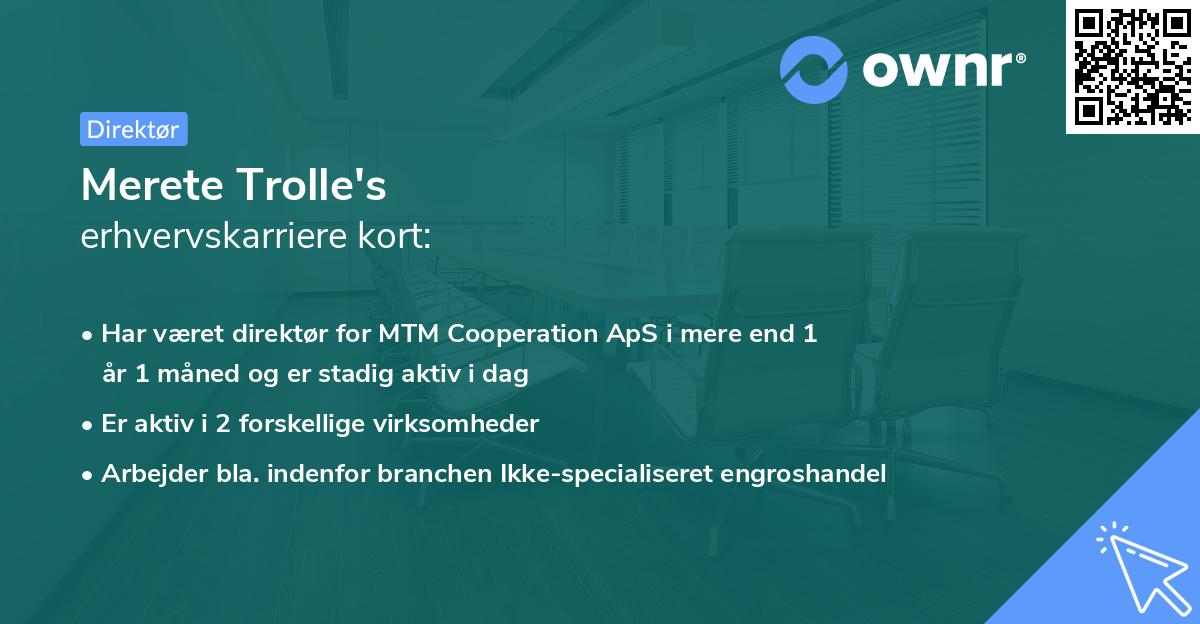 Merete Trolle's erhvervskarriere kort
