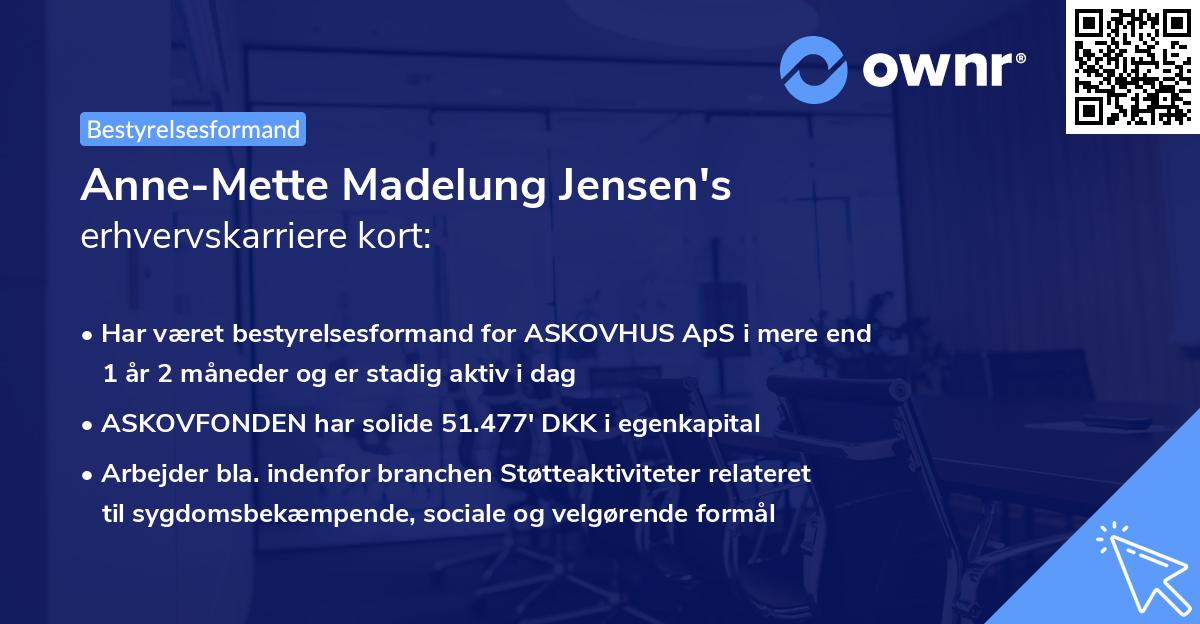 Anne-Mette Madelung Jensen's erhvervskarriere kort
