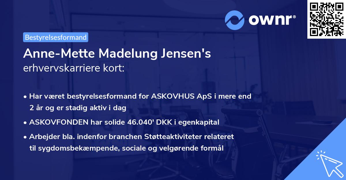 Anne-Mette Madelung Jensen's erhvervskarriere kort