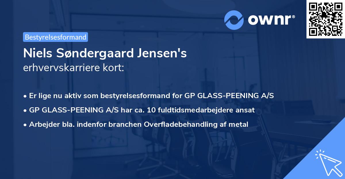 Niels Søndergaard Jensen's erhvervskarriere kort