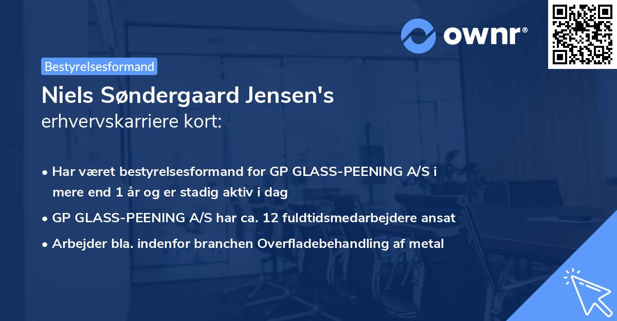Niels Søndergaard Jensen's erhvervskarriere kort