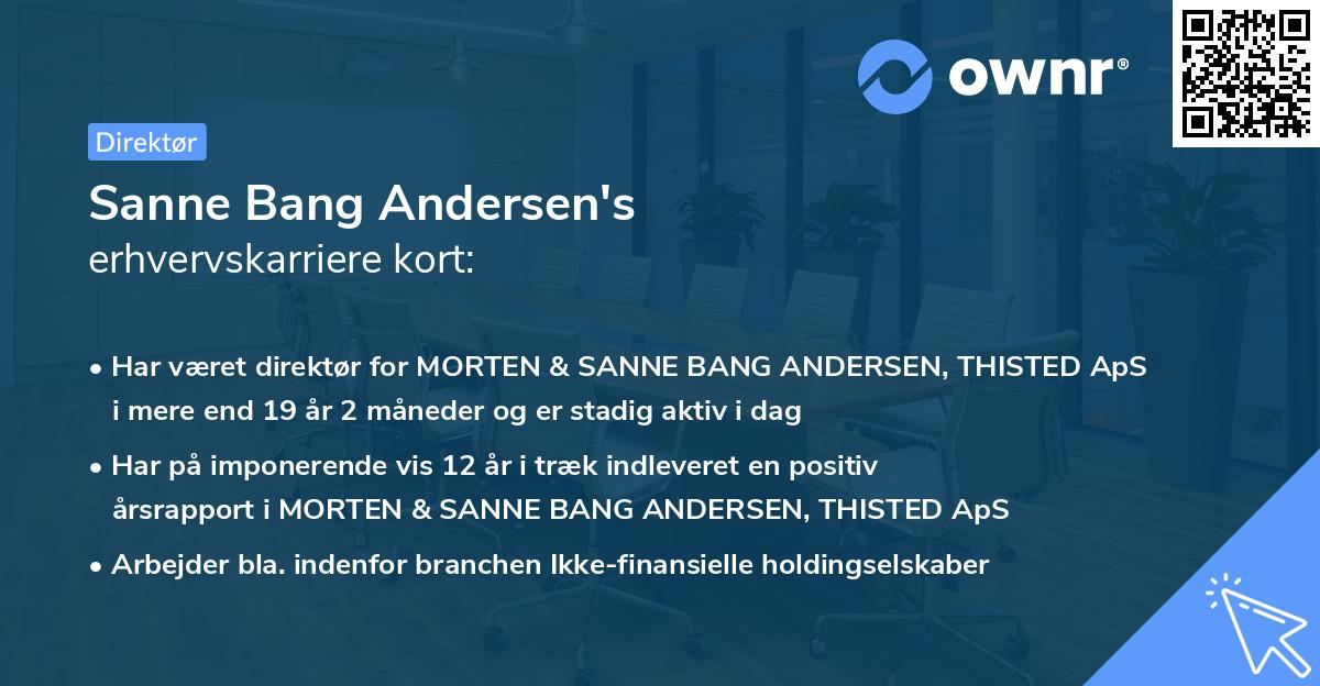 Sanne Bang Andersen's erhvervskarriere kort