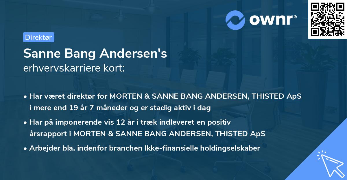 Sanne Bang Andersen's erhvervskarriere kort