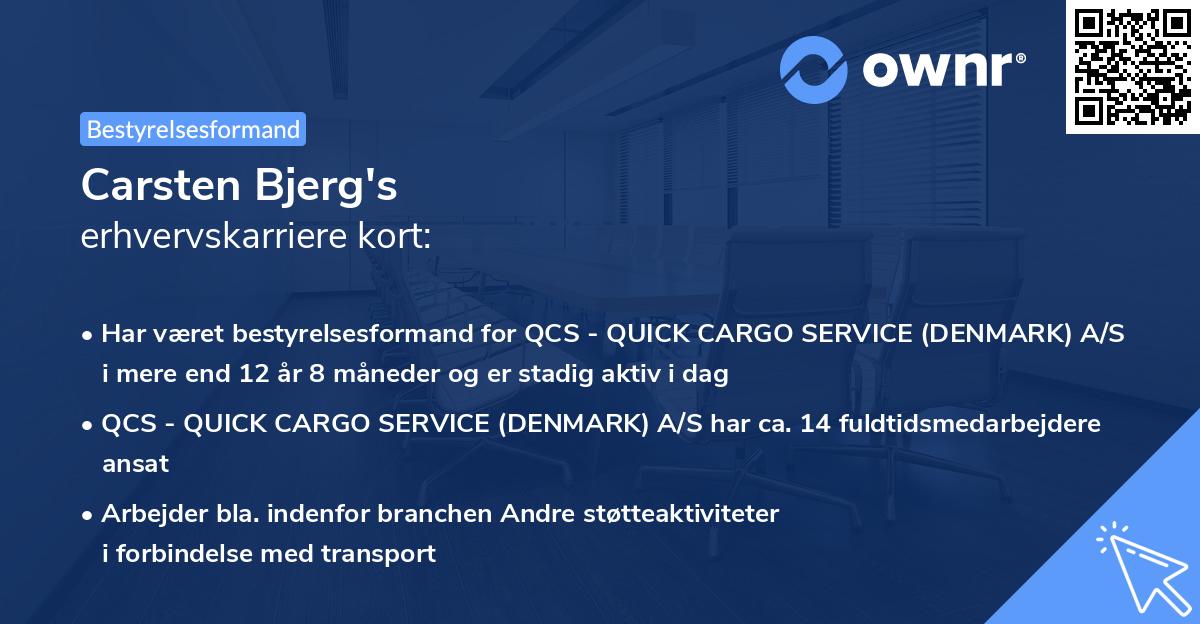 Carsten Bjerg's erhvervskarriere kort