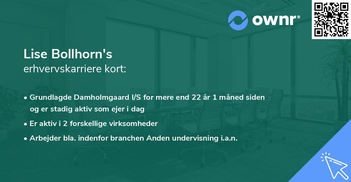 Lise Bollhorn's erhvervskarriere kort