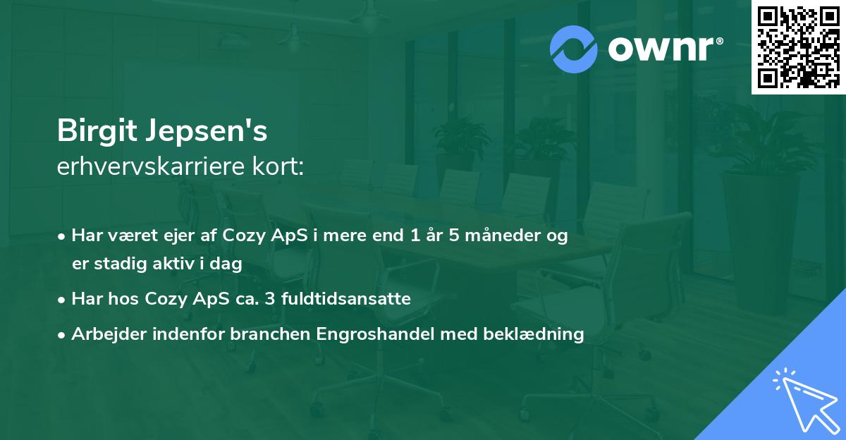 Birgit Jepsen's erhvervskarriere kort