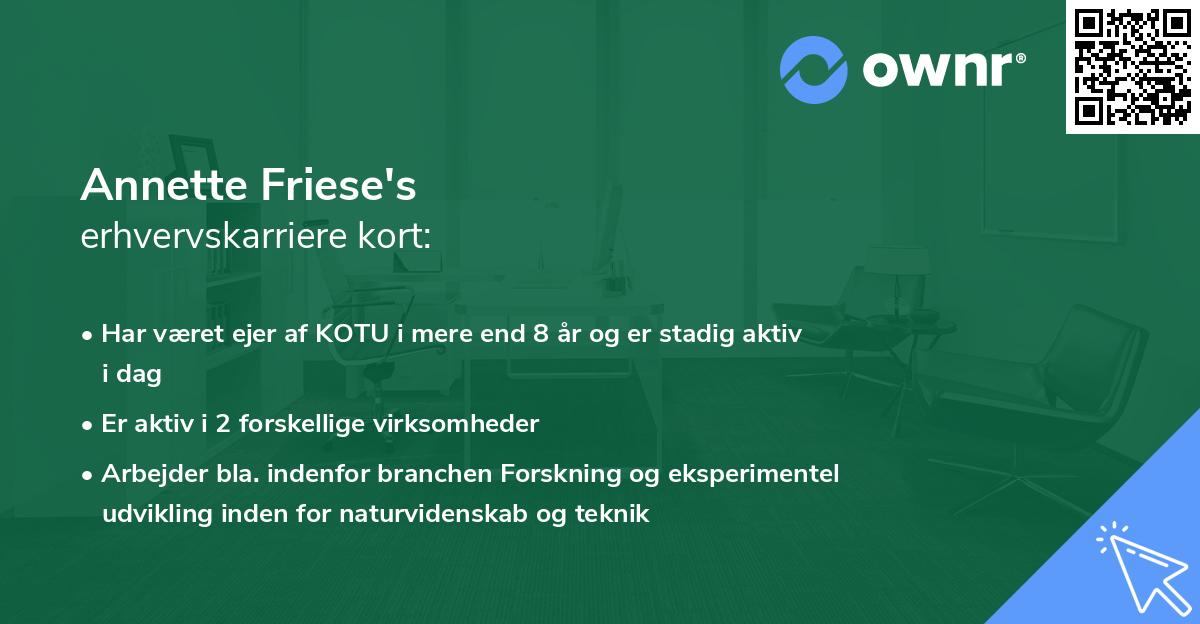 Annette Friese's erhvervskarriere kort