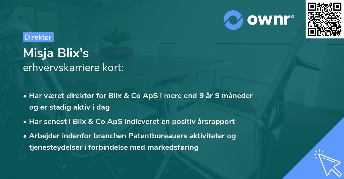 Misja Blix's erhvervskarriere kort