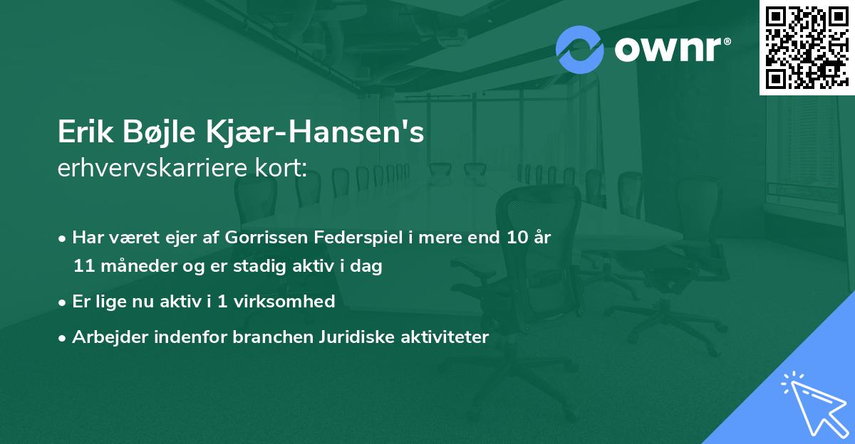 Erik Bøjle Kjær-Hansen's erhvervskarriere kort