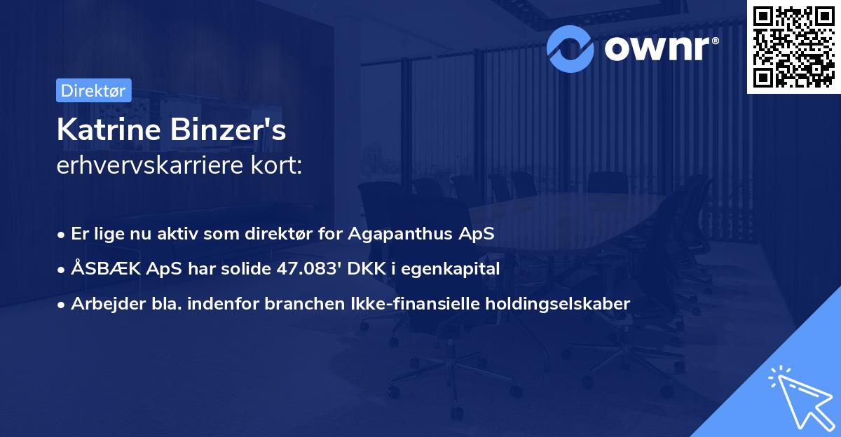 Katrine Binzer's erhvervskarriere kort