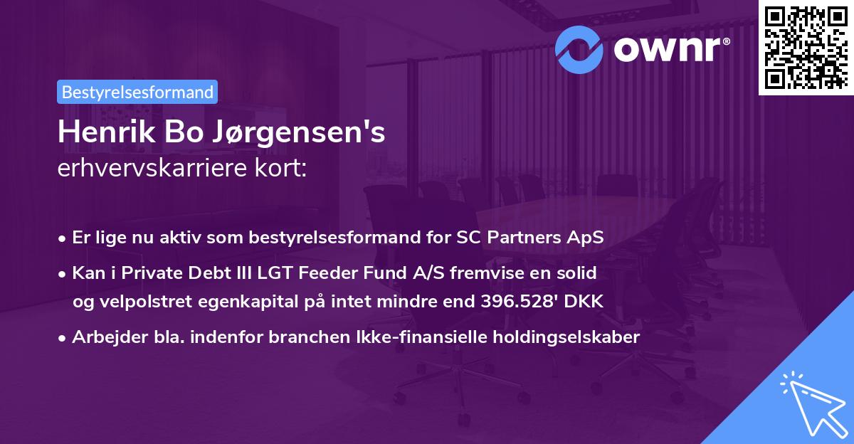 Henrik Bo Jørgensen's erhvervskarriere kort