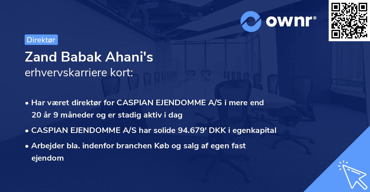 Zand Babak Ahani's erhvervskarriere kort