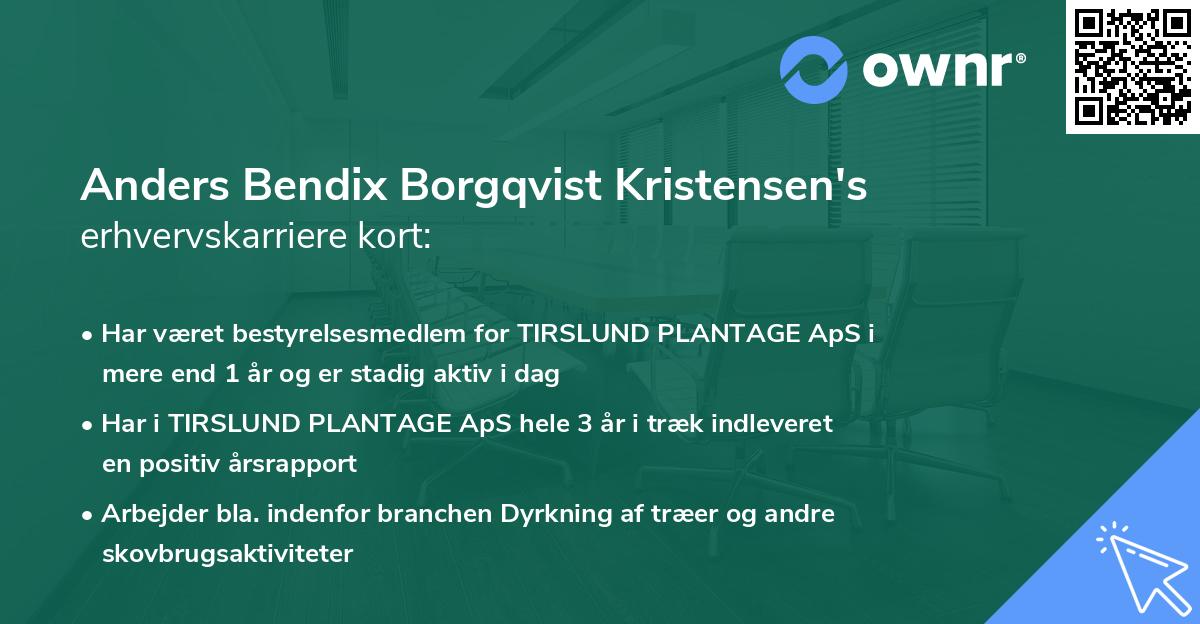 Anders Bendix Borgqvist Kristensen's erhvervskarriere kort
